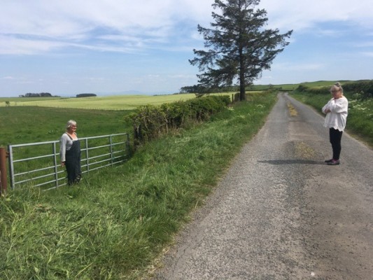 The road, the pipe and the pond